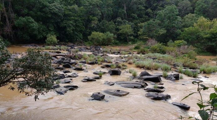 In Pics: Mysterious 1,000 Shiv Lingas Cut Out Of Rocks In The 1600s In Karnataka