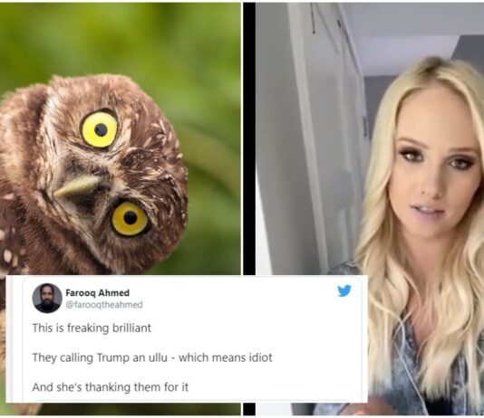 Ullu Trending