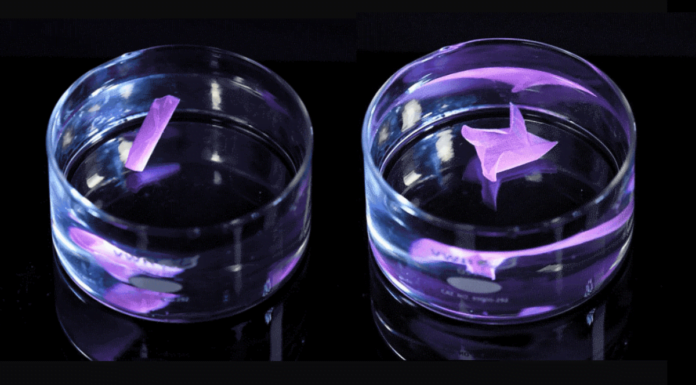 In Pics: Harvard Creates Wool Like Material That Remembers Its Original Shape & Can Transform Into New Ones