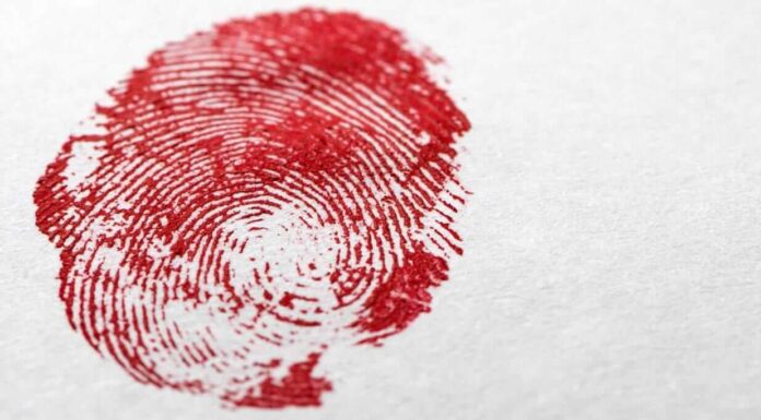 Breakfast Babble: Why I Think People Are Obsessed With True Crime