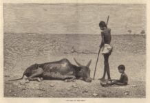 Skull Famine Of Late 1700s That Indian History Forgets To Mention