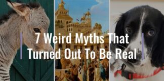 myths