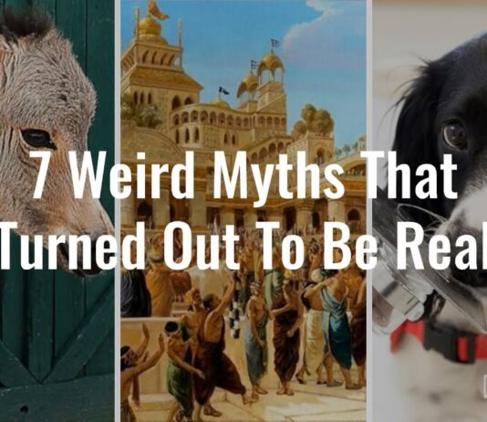 Watch: 7 Weird Myths That Turned Out To Be Real myths