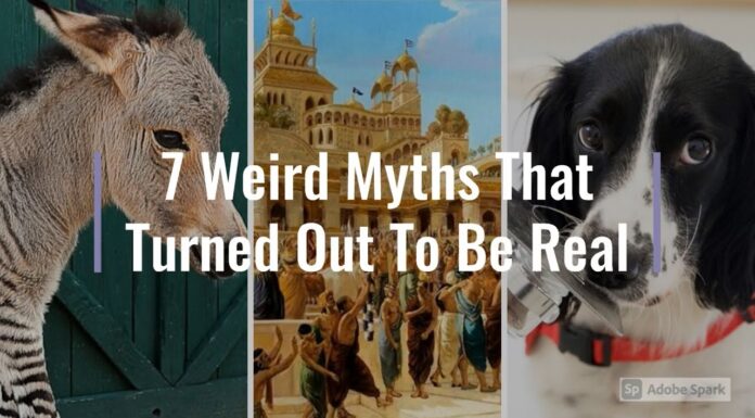 Watch: 7 Weird Myths That Turned Out To Be Real myths