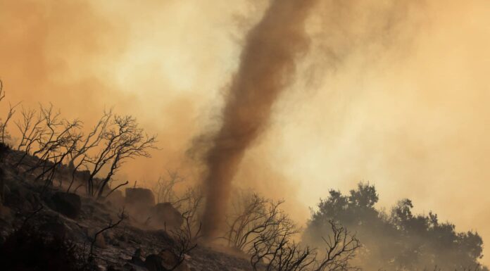 FlippED: Has The World Become More Dangerous Now, Compared To The Past?