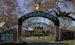 Neverland Ranch Gate