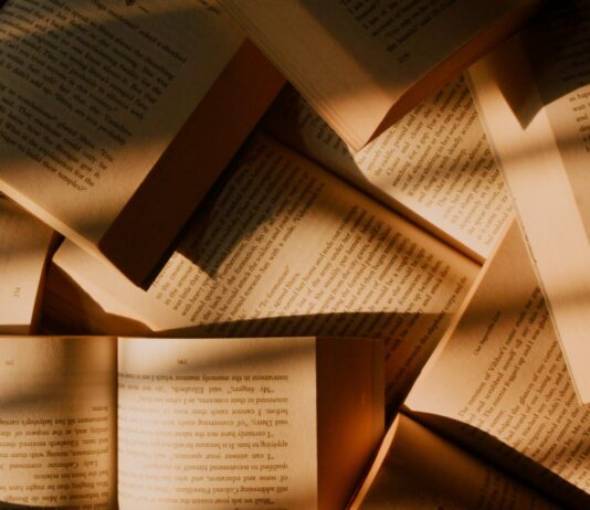 dark novel