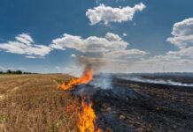 From Stubble To Subsidy: How We Are Paying For Our Poison Stubble burning