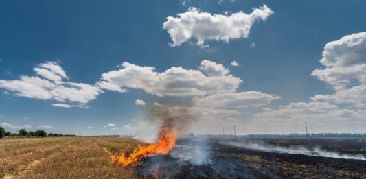 Stubble burning