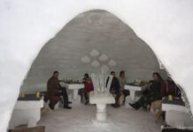 India Igloo Cafe