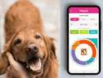 South Korean Startup Invents AI-Powered Collar That Tells You Your Dog’s Emotions