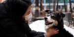 South Korean Startup Invents AI-Powered Collar That Tells You Your Dog’s Emotions