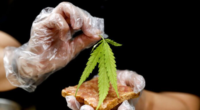 “Taste Of Ganja”: A Cannabis Cafe In Thailand Serving “Giggling Bread” And “Dancing Salad”