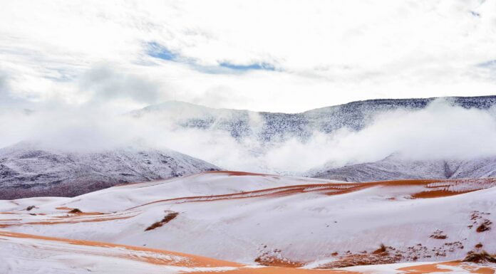 In Pics: Stunning Images Of Snow In Sahara Desert