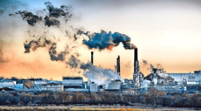 Most Polluting Industries Of India And The Fight Against Them