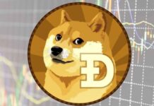 Here’s Everything You Need To Know About Dogecoin, A Currency Based On A Meme