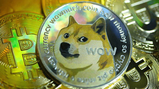 all i need to know about dogecoin