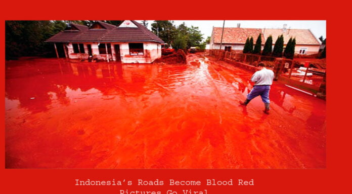 Indonesia’s Roads Become Blood Red, Pictures Go Viral