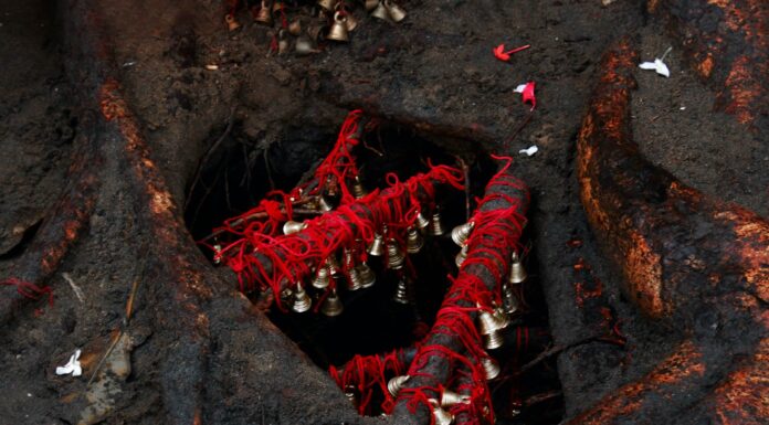 In Pics: Stunning Pictures Of Theyyam Child Avatars
