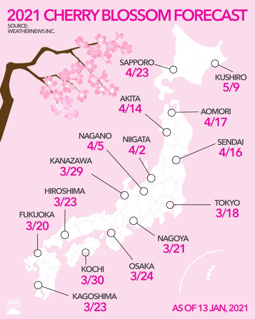 In Pics Japan Sees Its Earliest Cherry Blossom Season In 1,200 Years