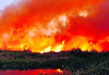 Why Does Bengaluru’s Bellandur Lake Catch Fire So Often?