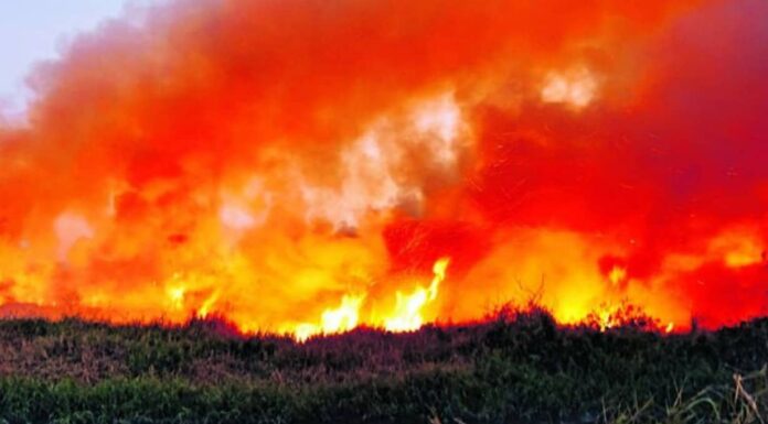 Why Does Bengaluru’s Bellandur Lake Catch Fire So Often?