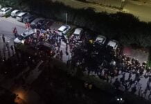 Gurgaon Family stray dogs