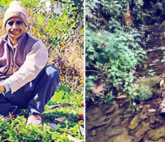 Fifty-Five Year Old, Uttarakhand Man Revives Dead Springs, Brings Water To 400 Homes After Twenty Years
