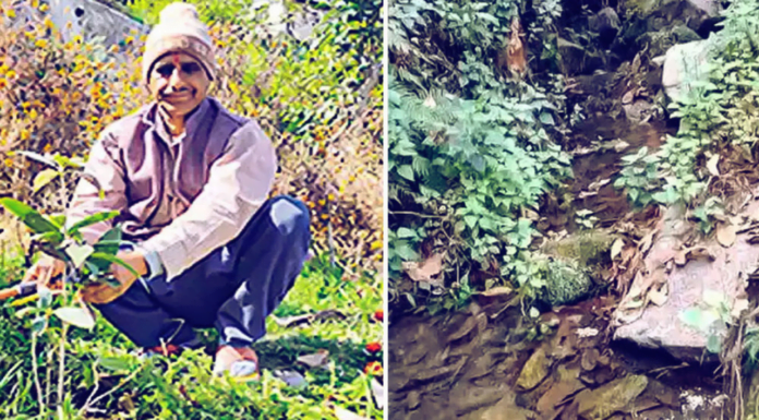 Fifty-Five Year Old, Uttarakhand Man Revives Dead Springs, Brings Water To 400 Homes After Twenty Years
