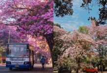 Bengaluru spring