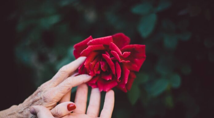 Here’s Why There’s An Acute Sense Of Responsibility In Gen-Z As Against Millennials