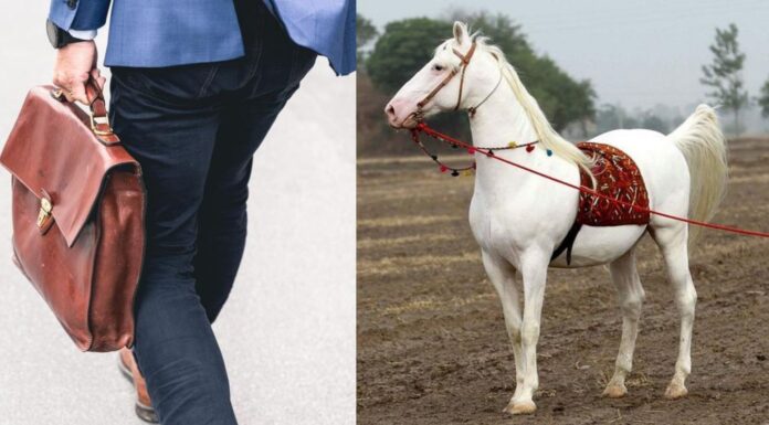 Officer Asks Permission To Ride A Horse To Office, Cites Spine Problem