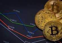 क्या एलोन मस्क क्रिप्टो मार्केट के हर्षद मेहता बनने की कोशिश कर रहे हैं?