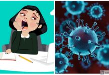 Set Aside Netflix & Cooking, Prepare For Third Wave Boredom In These New Ways