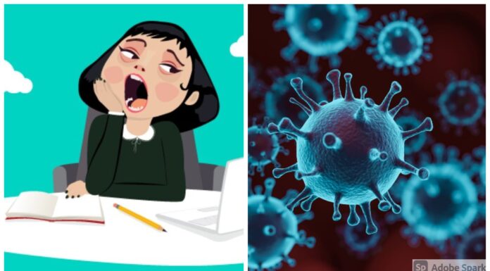 Set Aside Netflix & Cooking, Prepare For Third Wave Boredom In These New Ways