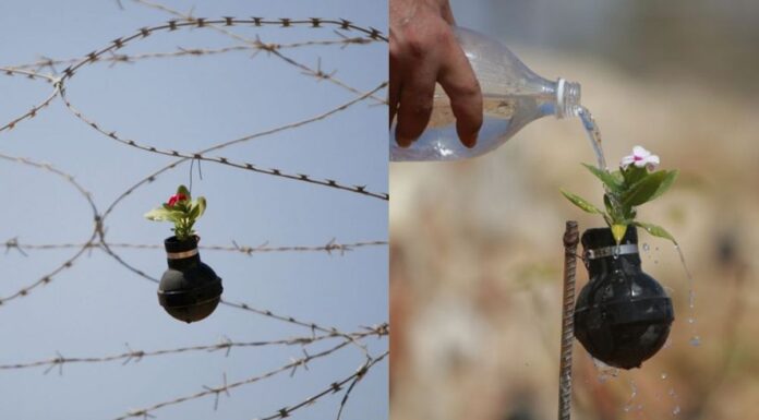 In Pics: Palestinian Woman Grows Flowers In Tear Gas Grenades Thrown By Israeli Army