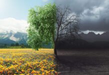 10 Things Going Right And 10 Things Going Wrong Around Us Now