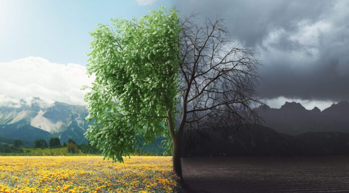 10 Things Going Right And 10 Things Going Wrong Around Us Now