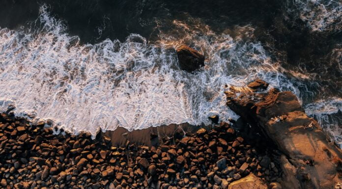 Unexpected Ways In Which Climate Change Is Reshaping College Education