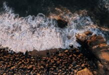 अनपेक्षित तरीके जिसमें जलवायु परिवर्तन कॉलेज शिक्षा को बदल रहा है