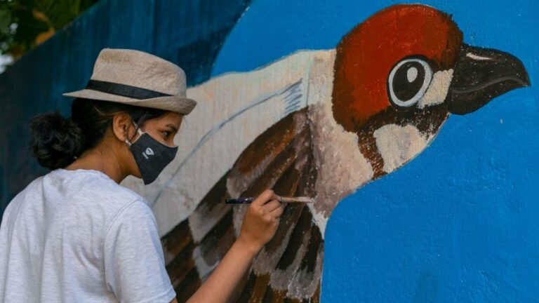 In Pics: Street Art Is Bringing Bengaluru Neighbourhood Alive