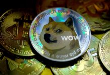 Dogecoin Is Down To Rs. 30 Only: What Is It, Should You Buy It, Where To Buy From And How To Track It?