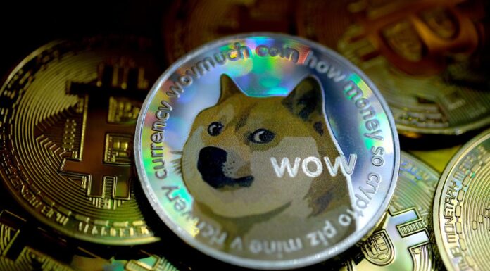 Dogecoin Is Down To Rs. 30 Only: What Is It, Should You Buy It, Where To Buy From And How To Track It?