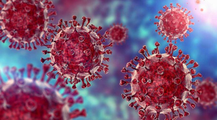 Delta Plus Variant Of COVID-19 Virus: Everything You Need To Know About The New Kid On The Block Delta Plus Variant