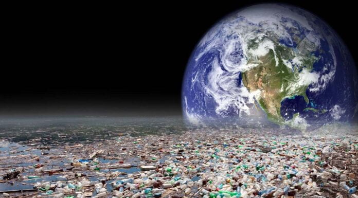 क्या इंसानों के बिना दुनिया जिंदा रह सकती है?