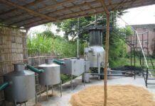 Hidden Startup Stories: Husk Power Plant Startup Based In Bihar Is Providing Power To Rural Areas