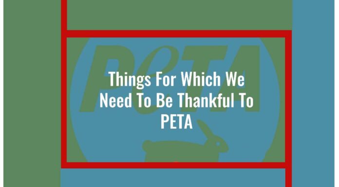 Watch: Things For Which We Need To Be Thankful To PETA