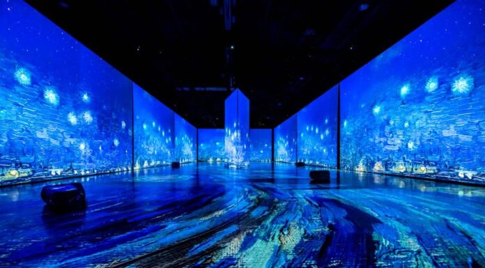 рдЗрди рдкрд┐рдХреНрд╕: ‘рдЗрдорд░реНрд╕рд┐рд╡ рд╡реИрди рдЧреЛ,’ рдПрдХ рдкреНрд░рджрд░реНрд╢рдиреА рдЬреЛ рдбрдЪ рдкреЗрдВрдЯрд░ рдХрд╛ рдЬрд╢реНрди рдордирд╛рддреА рд╣реИ