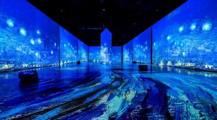In Pics: ‘Immersive Van Gogh’, An Exhibition That Celebrates The Dutch Painter