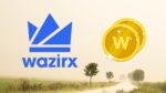 WazirX-price-analysis